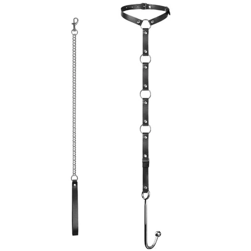 Leash Hook Collar 5853 and with Anal EverydayUse Kinky 0919